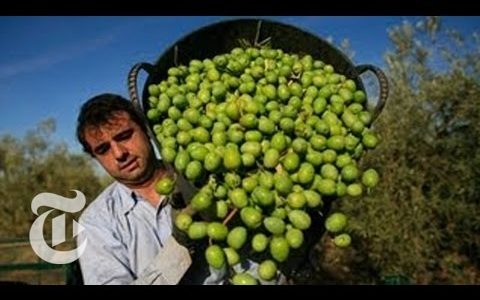 Mediterranean Diet Has Huge Health Benefits, New Study Finds | The New York Times