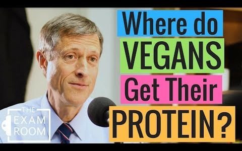 Can Vegans Get Enough Protein? | The Exam Room Podcast