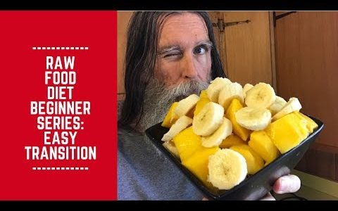 Raw Food Diet Beginner Series: Easy Transition Method