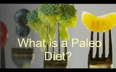 What is a Paleo diet