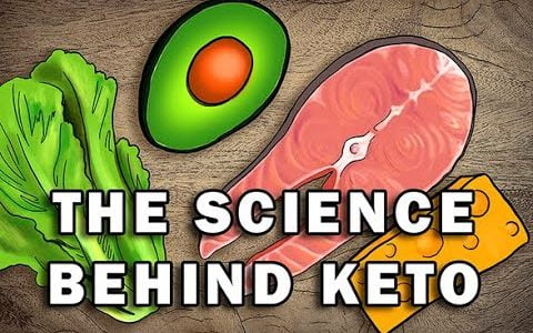 THE KETO DIET – EXPLAINED WITH SCIENCE