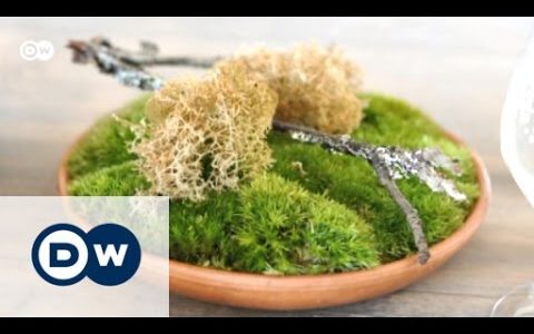 Die Nordic Diet: Essen wie die Wikinger | Euromaxx