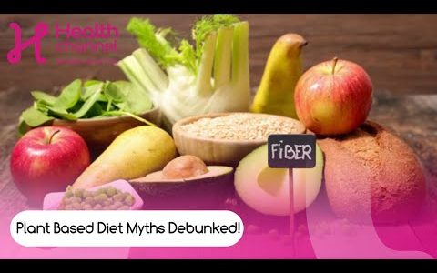 Plant based diet myths debunked!