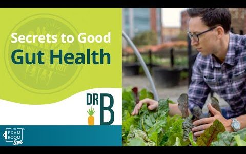 Raw Food vs. Cooked Food | Gut Health Q&A with Dr. Will Bulsiewicz