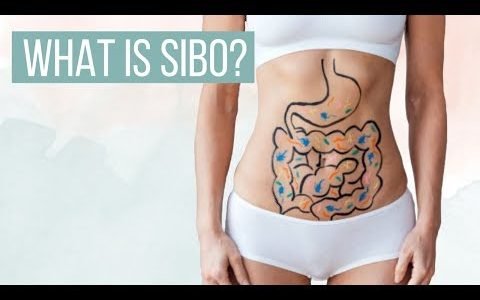 THE TRUTH: SIBO And A Vegan Diet | LIVEKINDLY