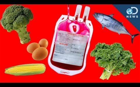 Debunking the Blood Type Diet
