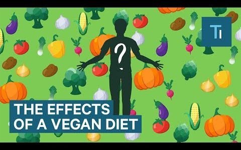 Here’s What Happens To Your Brain And Body When You Go Vegan | The Human Body