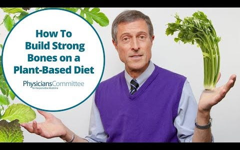 Bone Health and Plant-Based Diets