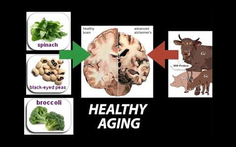 Healthy, (Nutrient) Wealthy and Wise: Diet for Healthy Aging – Research on Aging
