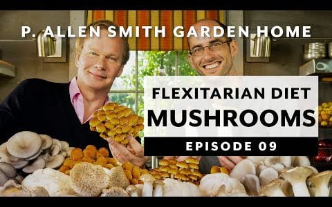 Flexitarian Diet | Mushrooms: Garden Home VLOG (2019) 4K