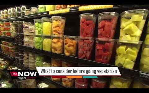 What you need to know before switching to a vegetarian diet