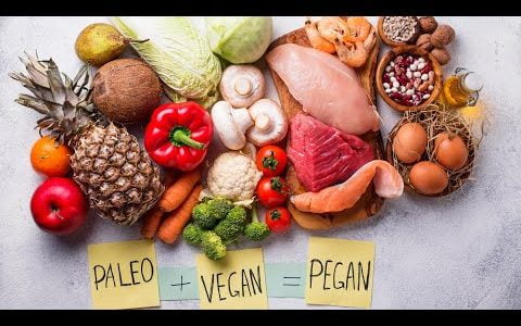 The Pegan Diet (Paleo-Vegan) Explained | Dr. Mark Hyman