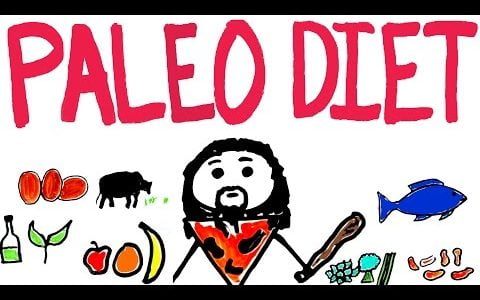 Paleo Diet Explained – The Good and The Bad