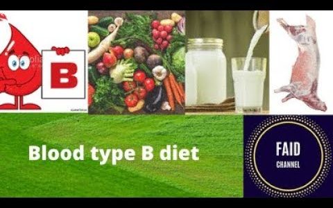 Dr Faid || The blood type B diet
