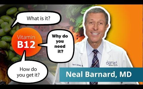 What You Need To Know About Vitamin B12 | Vegan Diets