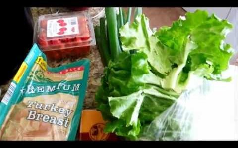 South Beach Diet Phase 1 Shopping