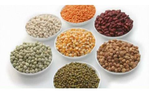 How to Lose Weight on a Raw Food Diet | Diet Plans