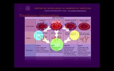 Personalized Nutrition  What Your Blood Type Means for Your Health with Dr  Peter D’Adamo, ND 7 28 1