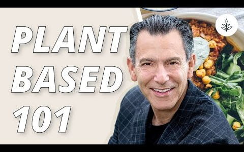 DOCTOR Answers GOOGLE QUESTIONS About A VEGAN Diet | LIVEKINDLY